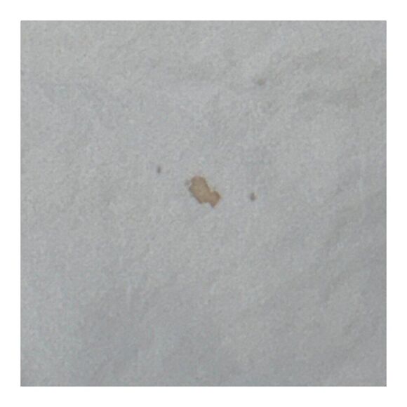 Pottery Barn White Cotton Standard Pillowcases Set Of 3 Lot Replacement Twin - Picture 9 of 10